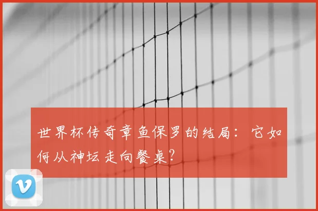 世界杯传奇章鱼保罗的结局：它如何从神坛走向餐桌？