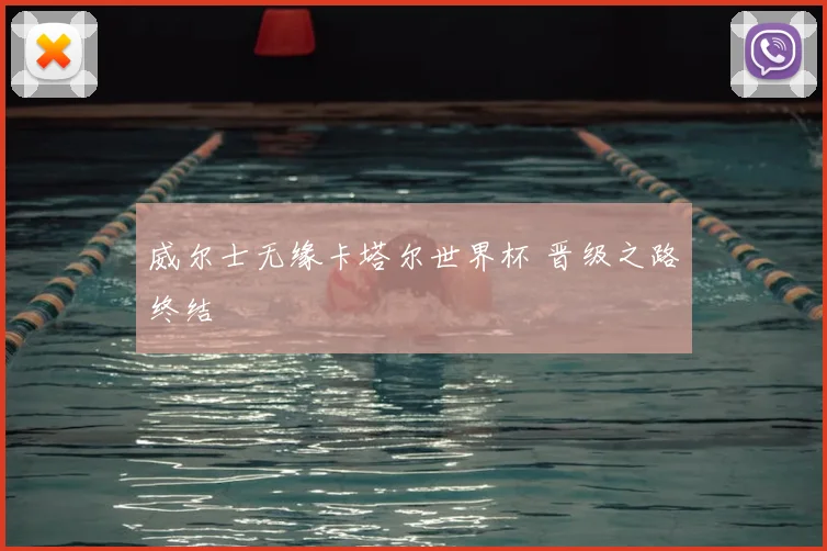 威尔士无缘卡塔尔世界杯 晋级之路终结