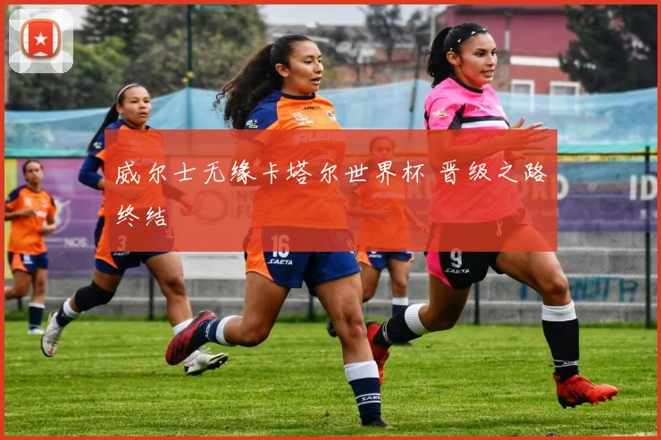 威尔士无缘卡塔尔世界杯 晋级之路终结