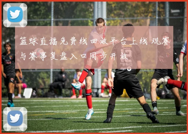 篮球直播免费线回放平台上线 观赛与赛事复盘入口同步开放