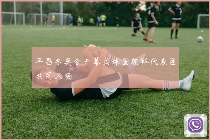 平昌冬奥会开幕式韩国朝鲜代表团共同入场