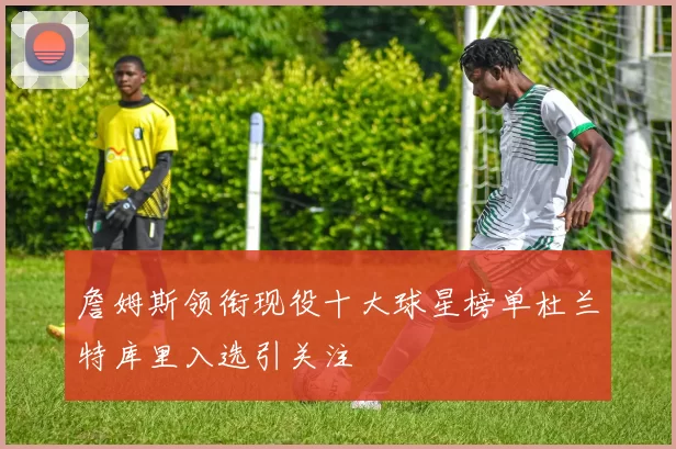 詹姆斯领衔现役十大球星榜单杜兰特库里入选引关注