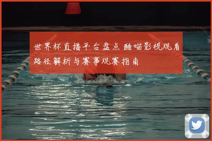 世界杯直播平台盘点 酷喵影视观看路径解析与赛事观赛指南