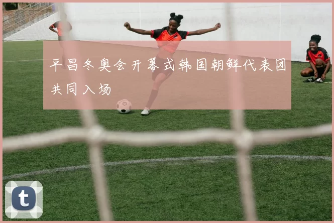 平昌冬奥会开幕式韩国朝鲜代表团共同入场