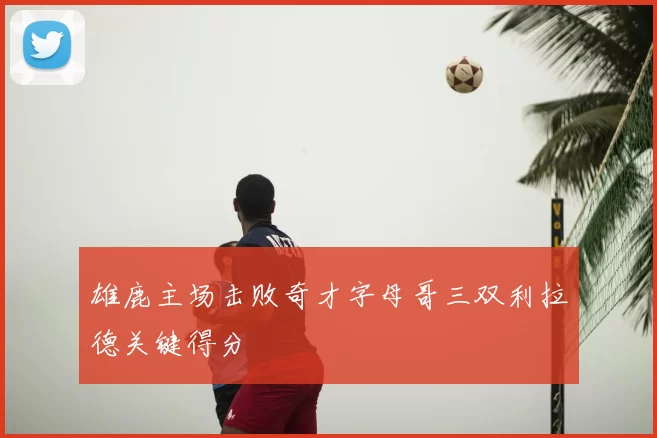 雄鹿主场击败奇才字母哥三双利拉德关键得分